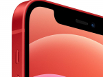 The Woods
