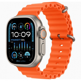 APPLE WATCH ULTRA 2 49MM C GRIS